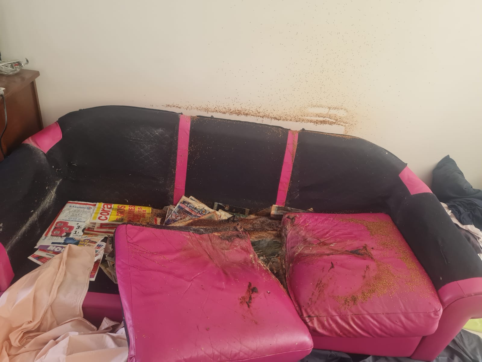 Quelles techniques de tri utiliser dans un appartement Diogène encombré du sol au plafond ? L’expertise de SOS DC à Boulogne-Billancourt et dans les villes environnantes WhatsApp Image 2025 04 18 A 17.15.46 7c03292f